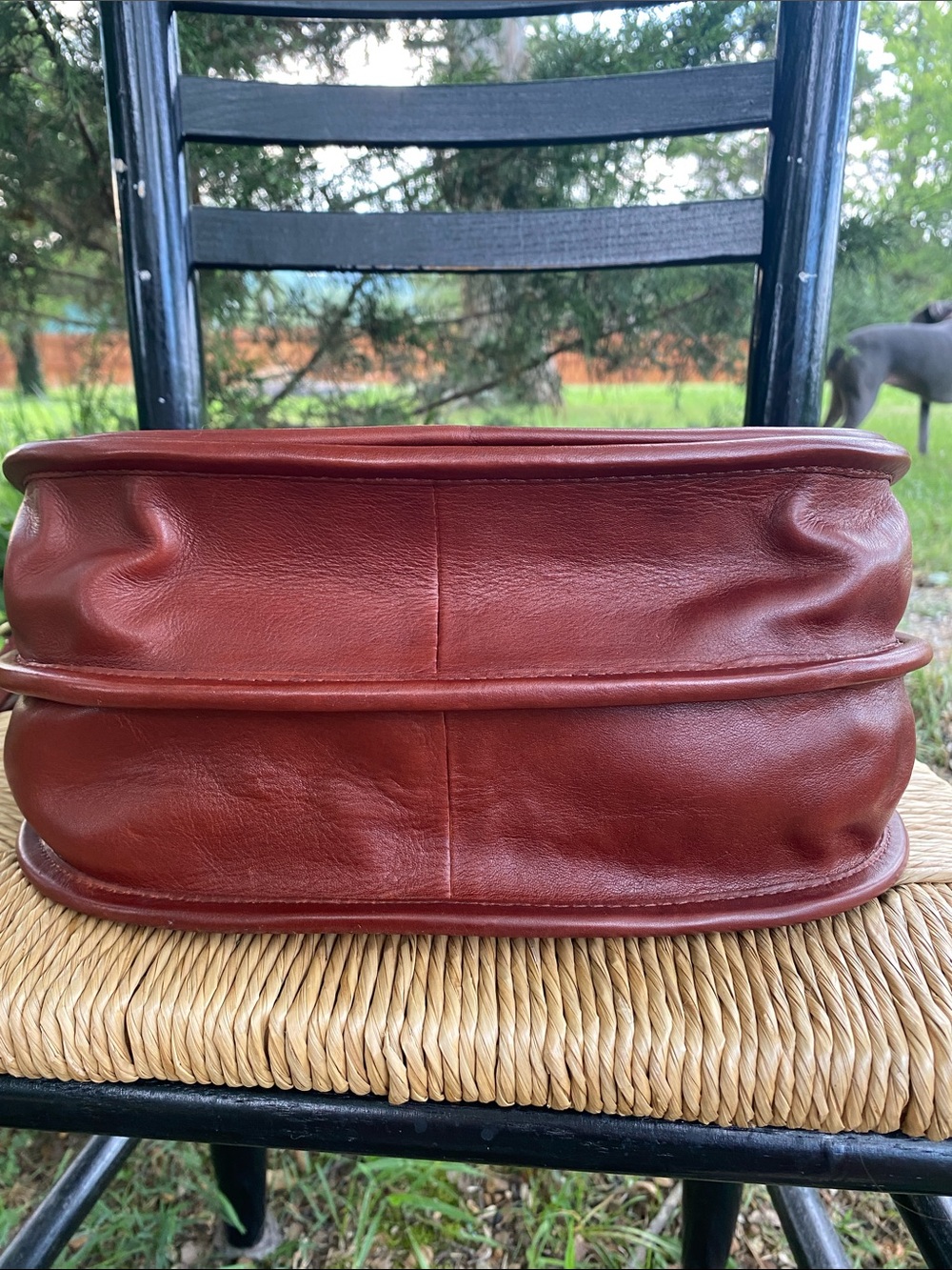 HOBO Kiva Large Crossbody Bag in Chestnut - Picture 4 of 13